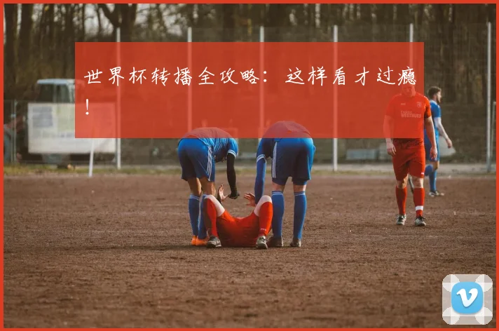 世界杯转播全攻略：这样看才过瘾！
