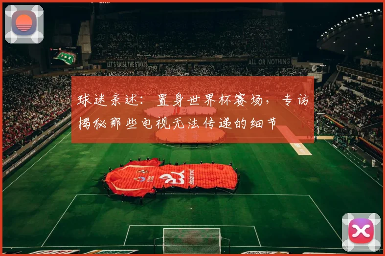 球迷亲述：置身世界杯赛场，专访揭秘那些电视无法传递的细节