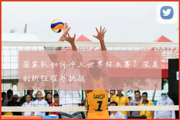 国家队如何冲入世界杯决赛?深度剖析征程与挑战