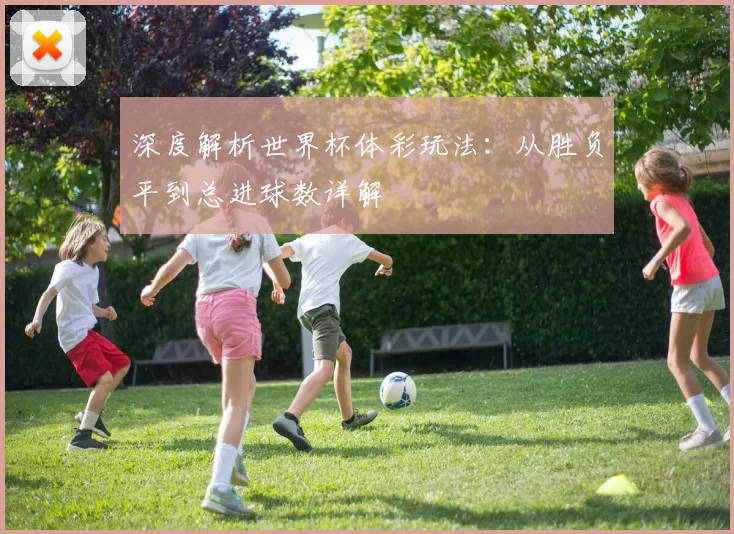 深度解析世界杯体彩玩法：从胜负平到总进球数详解