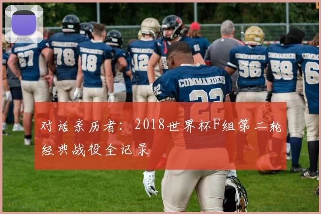 对话亲历者:2018世界杯F组第二轮经典战役全记录