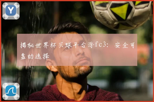 揭秘世界杯买球平台浮fc3:安全可靠的选择