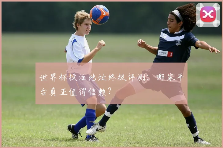 世界杯投注地址终极评测:哪家平台真正值得信赖?